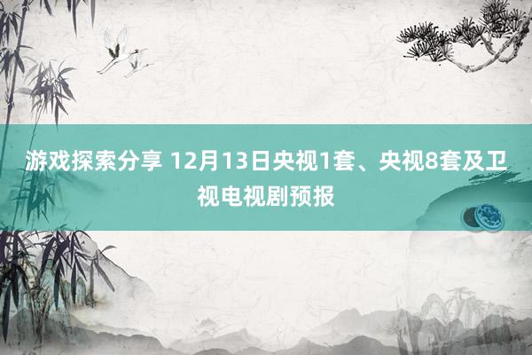 游戏探索分享 12月13日央视1套、央视8套及卫视电视剧预报