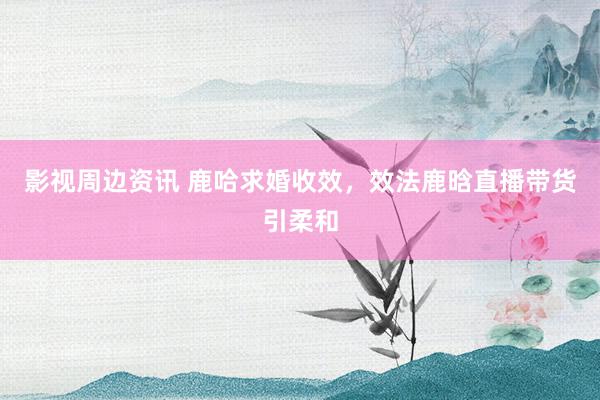 影视周边资讯 鹿哈求婚收效，效法鹿晗直播带货引柔和