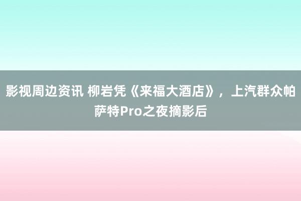 影视周边资讯 柳岩凭《来福大酒店》，上汽群众帕萨特Pro之夜摘影后