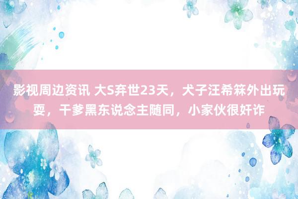 影视周边资讯 大S弃世23天，犬子汪希箖外出玩耍，干爹黑东说念主随同，小家伙很奸诈